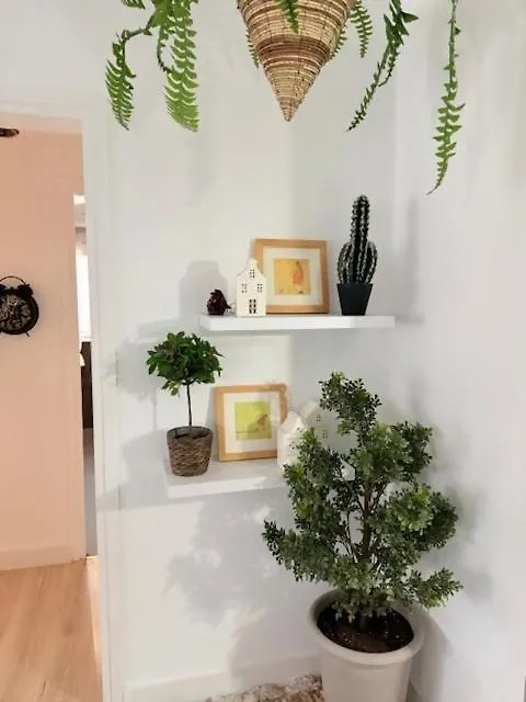 דירות פלטחה ד'ארו 011 Bajo Jardin Platja Daro ספרד